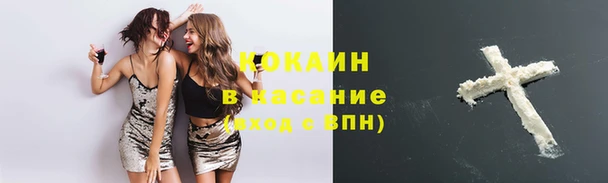 дживик Аркадак