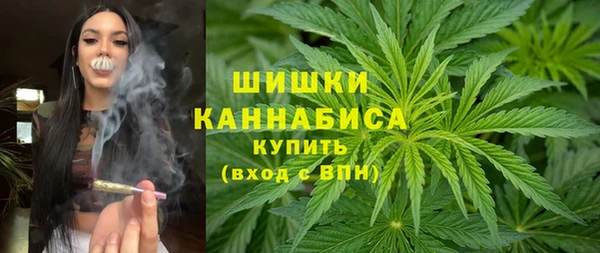 дживик Аркадак