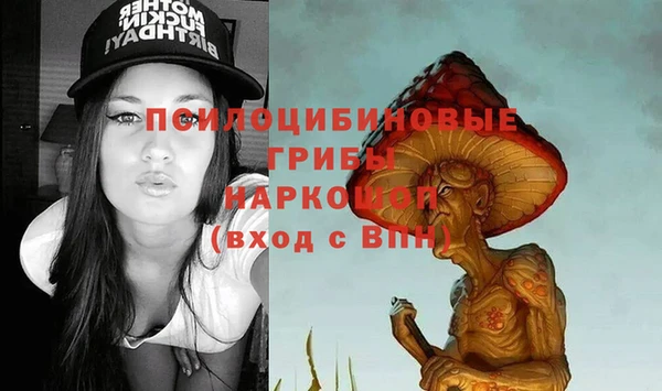 тгк Армянск