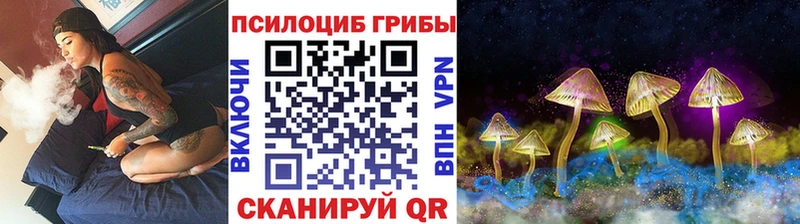 Псилоцибиновые грибы мухоморы  Купить где  Североморск 