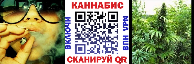 Бошки Шишки гибрид  Купить где  Североморск 